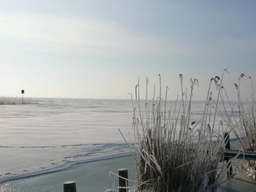a view of a frozen lake with some grass at Spacious appartment in Wilhelmshof near Lake in Wilhelmshof