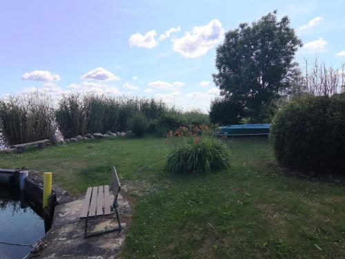 a bench sitting in the grass next to a pond at Spacious appartment in Wilhelmshof near Lake in Wilhelmshof