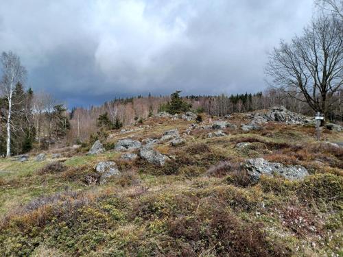 a grassy hill with rocks and trees on it at Ferienhaus in der Nähe der Skipiste in Stadlern