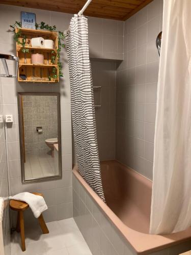 Koupelna v ubytování Appartement Havre de Paix