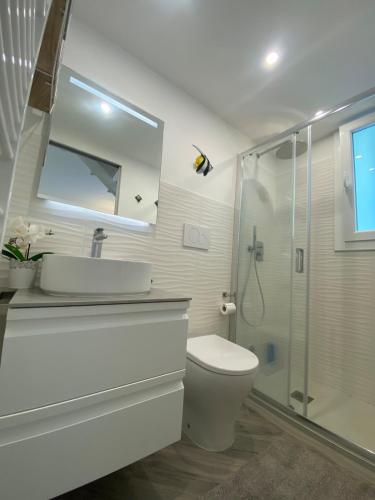 a bathroom with a toilet and a sink and a shower at Villetta mare e pineta in Fregene