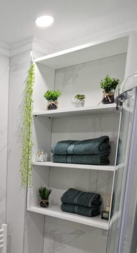 a bathroom with shelves with potted plants and towels at Silvery Studio 20 in Rădăuţi
