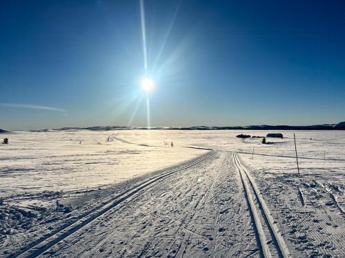 a snow covered field with the sun in the sky at Traditional Log Cabin At Reineskarvet in Ål
