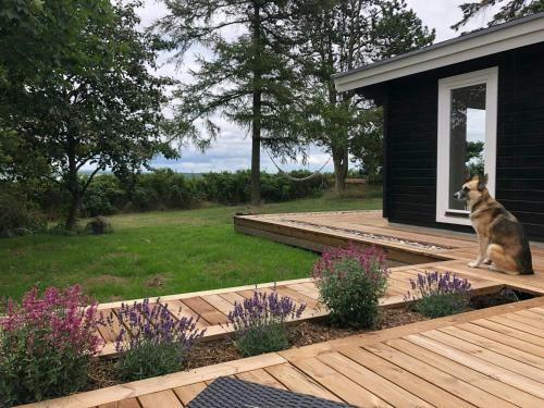 a dog sitting on the porch of a house at Holiday Home With Fjord Views Near Kyndby in Jægerspris