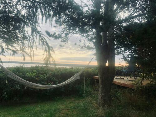 a hammock hanging from a tree next to a bench at Holiday Home With Fjord Views Near Kyndby in Jægerspris