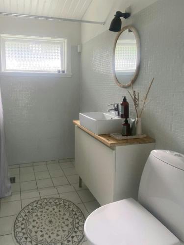 a bathroom with a sink and a toilet and a mirror at Holiday Home By Avnø Fjord In Front Of The Sea in Vordingborg