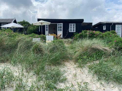 a house on the beach with tall grass at Beachfront House At Hølken Beach in Odder