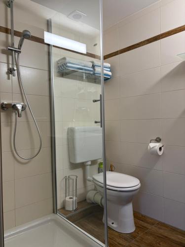 a bathroom with a toilet and a glass shower stall at Gästezimmer Schupanez in Leutschach