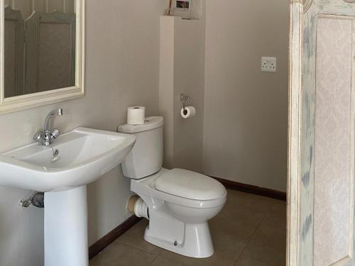 a bathroom with a white toilet and a sink at Edge of the Crater in Venterskroon