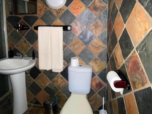 a bathroom with a toilet and a sink at Edge of the Crater in Venterskroon