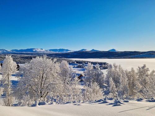 an aerial view of snow covered trees and a lake at 6 person holiday home in Nordli-By Traum in Holand