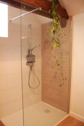 una ducha con puerta de cristal en un baño en Gite de groupe "Le Réveillon", en Neuville-sur-Sarthe