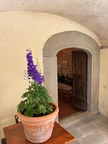 a flower pot sitting on a table with a plant at Agriturismo Le Pozze in Dicomano