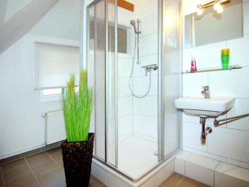 a bathroom with a shower and a sink at Terraced houses in the port village of Vieregge on the island of Rügen in Vieregge