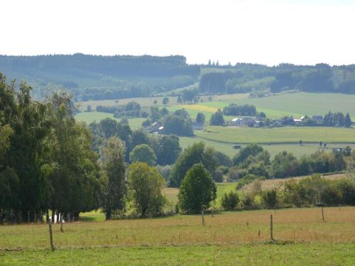 a view of a field with trees and hills at Charming Chalet in Vielsalm in Vielsalm