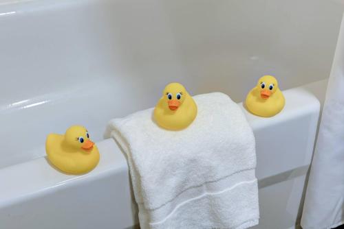 three rubber ducks sitting on a bath tub with a towel at Garrison Hotel & Suites Dover-Portsmouth, an Ascend Collection Hotel in Dover