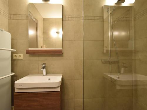 a bathroom with a sink and a mirror and a shower at Holiday Home in Gouvy Ardennes with Sauna in Rogery