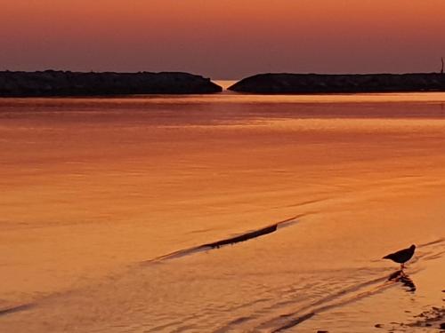 Paesaggio naturale nelle vicinanze dell'appartamento