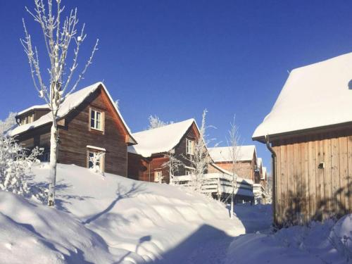 a house is covered in snow at Semi-detached houses, turf house in Torfhaus