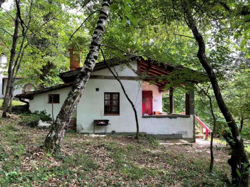 a white house with a red door in the woods at Holiday Home with Garden and shared pool in Migliorini