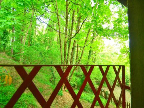 a view of a tree from a window at Holiday Home with Garden and shared pool in Migliorini