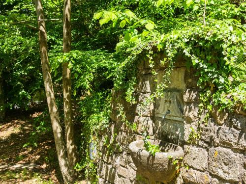a stone wall with a plant in a pot at Holiday Home with Garden and shared pool in Migliorini