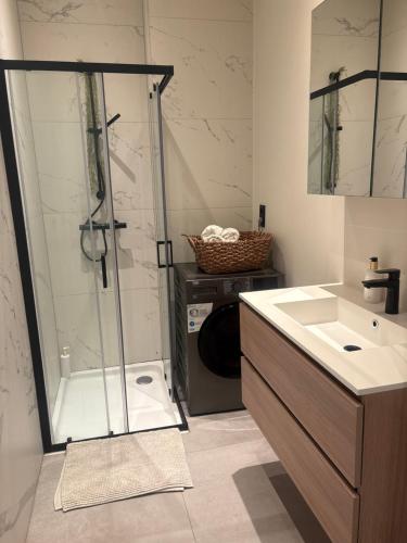 a bathroom with a shower and a sink at Cosy appartement in Antwerp