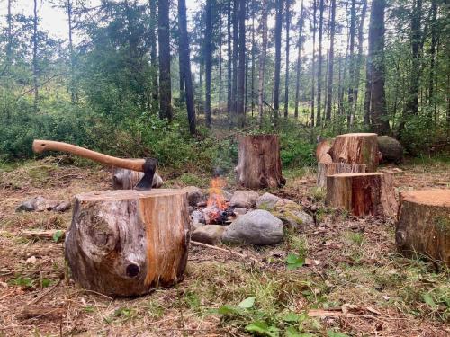 a fire pit in the middle of a forest at Cabin in the Forest in Stillingsön