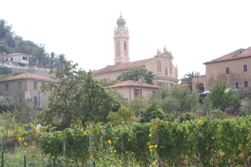 ChiusanicoにあるAgriturismo La Vignaのギャラリーの写真
