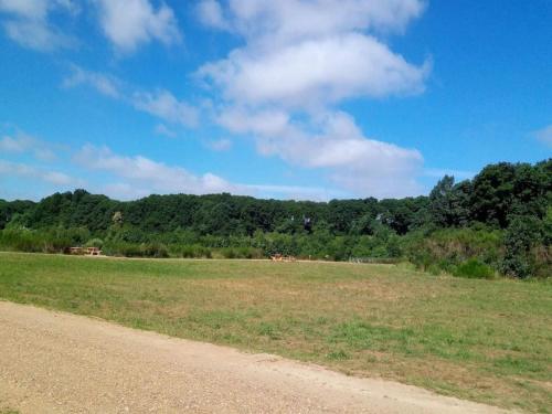 a dirt road next to a field with trees at 5 star holiday home in Ansager in Ansager