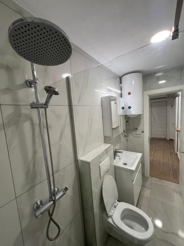 a bathroom with a shower and a toilet and a sink at LiboroApartments in Niš