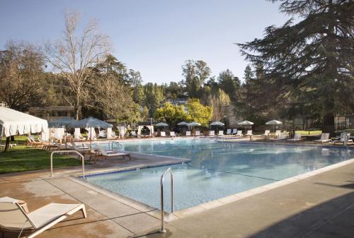 a large swimming pool with chairs and umbrellas at Flamingo Resort & Spa Santa Rosa Sonoma, Tapestry by Hilton in Santa Rosa