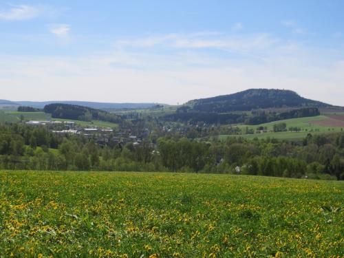 a field of yellow flowers in the hills at Cozy Escape in Walthersdorf in Scheibenberg
