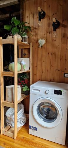 a washing machine sitting next to a shelf with plants at Casa all’antica fontana in Sùtrio