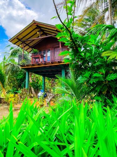 Tree Top View Tree Houseにある庭