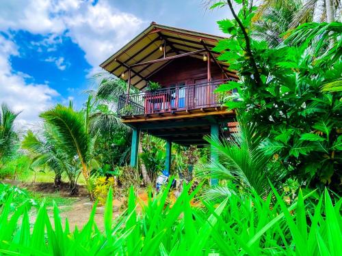 シギリヤにあるTree Top View Tree Houseの森の真ん中にある家