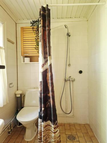 a bathroom with a shower and a toilet at Hietajärven Helmi in Joensuu
