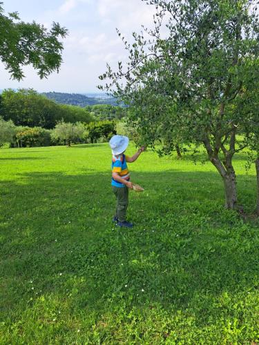 a young boy standing in the grass next to a tree at Country House Bucaneve in Rovolon