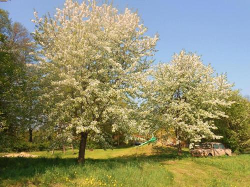 Φυσικό τοπίο κοντά σε αυτή η παραθεριστική κατοικία