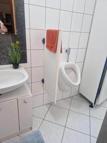 a bathroom with a urinal and a sink at Ferienhäuschen Like at Home in Sarstedt