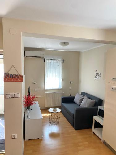 a living room with a couch and a table at Apartman Lucija in Gradići