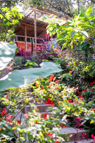 a garden with flowers in front of a house at Chameleon Hill Forest Lodge in Bwindi