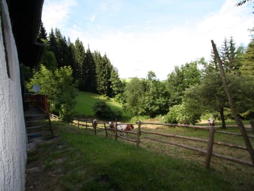 a fence with some animals in a field at Chalet in Prebl near Klippitztörl Ski Area in Prebl