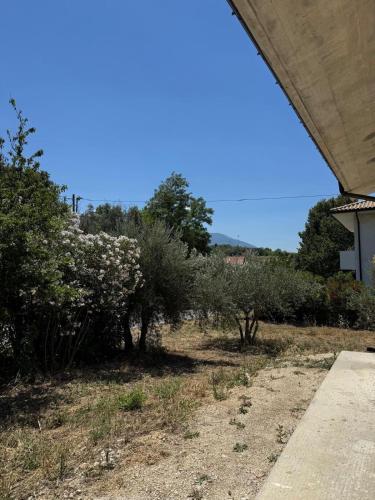 a view of a garden with trees and bushes at A Casa di Alice in Scafa