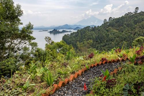 a view of the water from a garden with plants at Chameleon Hill Forest Lodge in Bwindi