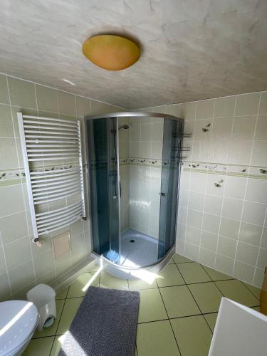 a bathroom with a shower with a toilet and a sink at Haus Simon in Vogelsang