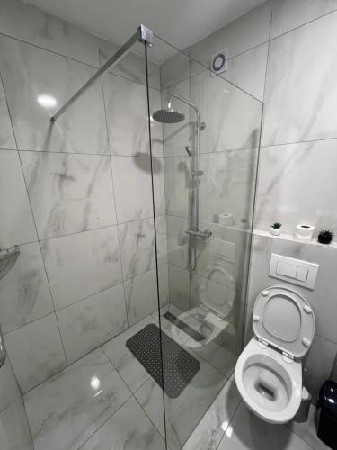 a bathroom with a shower and a toilet at LiboroApartments in Niš