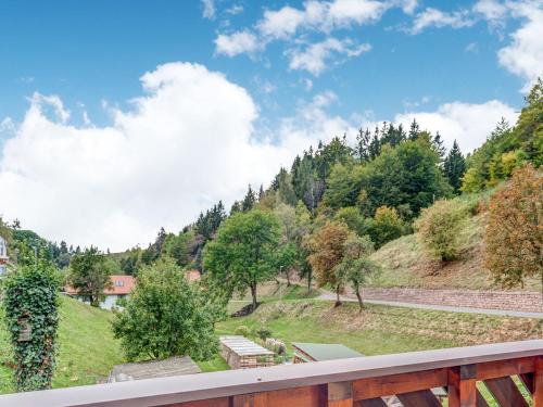 a view from a balcony of a park with trees at Ferienhaus im Thüringer Wald in Langenbach