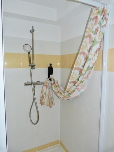a shower with a shower curtain in a bathroom at Le Clos d'AIX Studio 113 in Aix-en-Provence