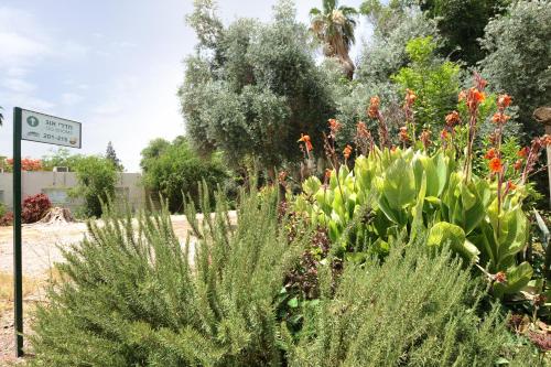 a garden with plants and flowers on a street at Almog Hotel in Almog